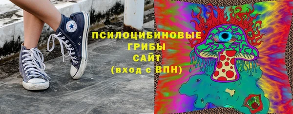 спайс Алзамай
