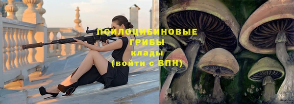 скорость Осинники